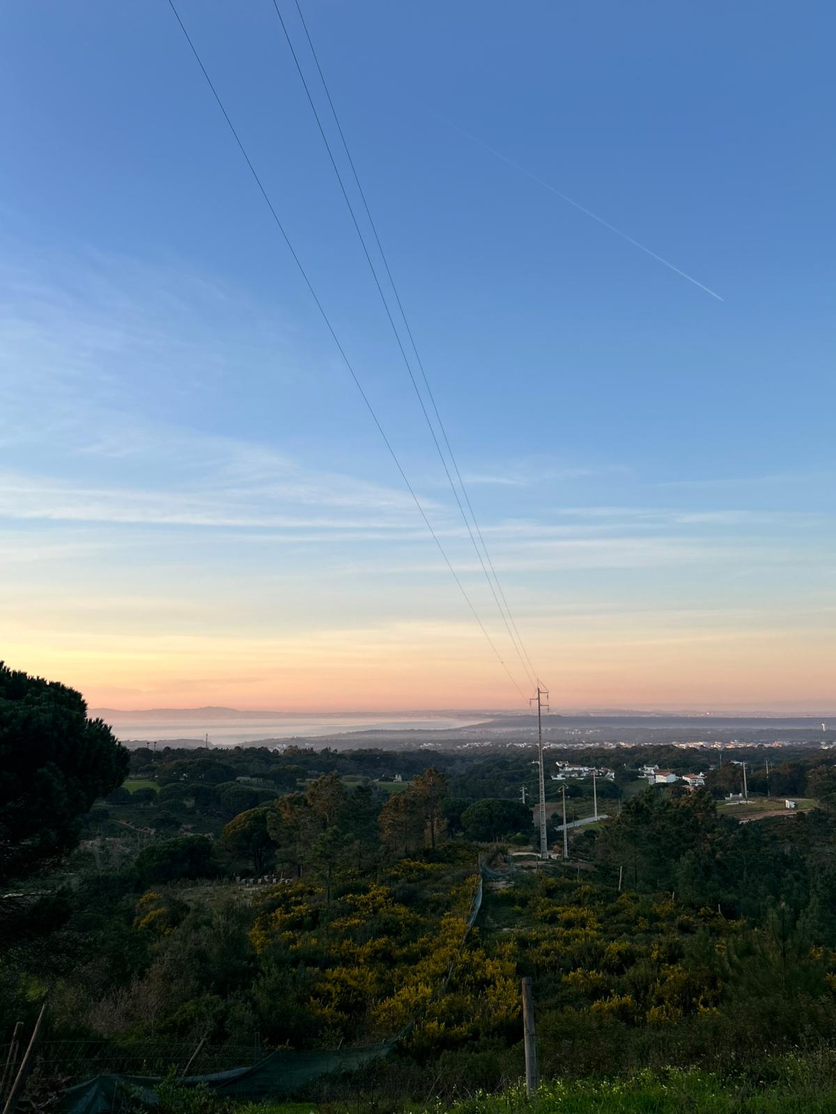 Morning view